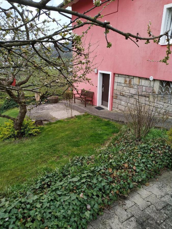 Ferienwohnung Haus Barbara Bad Brückenau المظهر الخارجي الصورة